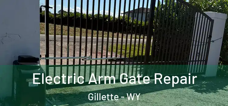 Electric Arm Gate Repair Gillette - WY